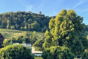 Bäume mit Berg und Burg im Hintergrund