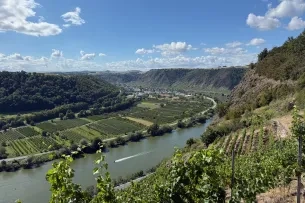 Rastplatz Moselblick