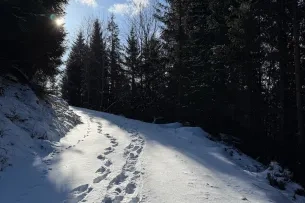 Verschneiter Wanderweg