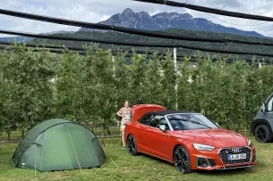 Zelt, Auto, Spalierobst